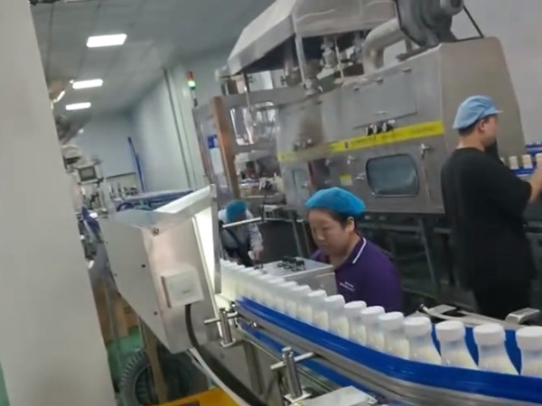 310ML酸奶生产中